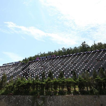 Drive In Hotel Tiamo Pocheon Εξωτερικό φωτογραφία